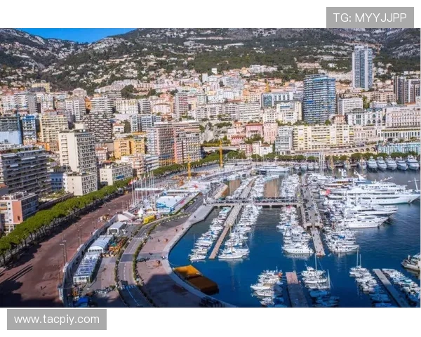 尼斯俱乐部历史辉煌与未来展望：足球梦的起航与坚持